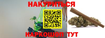 сатива Гай