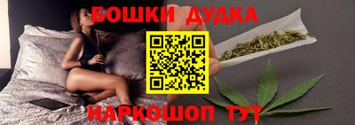 МДПВ Гагарин