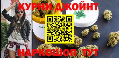 сатива Гай